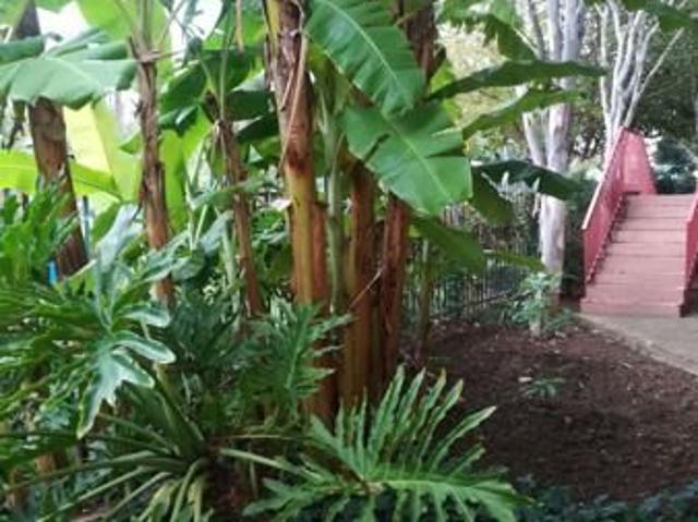 Apartment for rent in Waterkloof, Gauteng