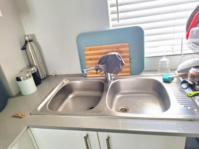 Apartment for sale in Princess Grant, Kwazulu-natal
