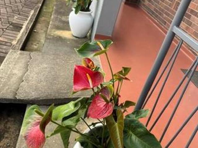 Apartment for sale in Ehlanzeni, Mpumalanga