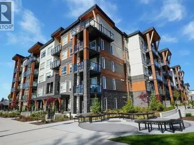 Apartment for rent in Maple Ridge, British Columbia