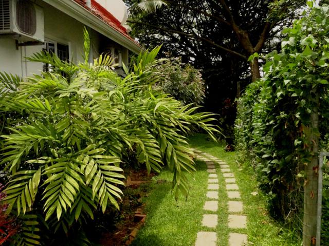 Apartment for rent in Durban North, Kwazulu-natal