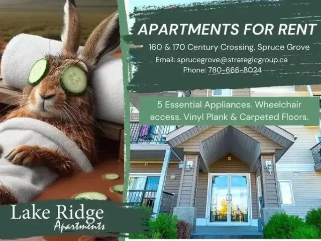 Apartment for rent in Spruce Grove, Alberta