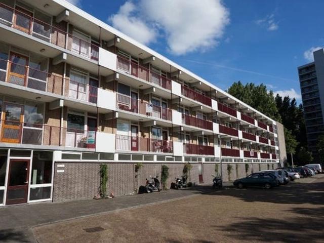Appartement te huur in Noord Holland