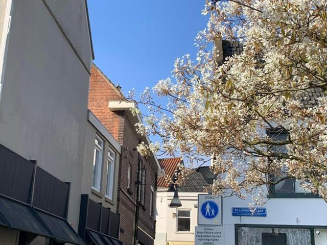 Appartement te huur in Terneuzen-Centrum, Terneuzen