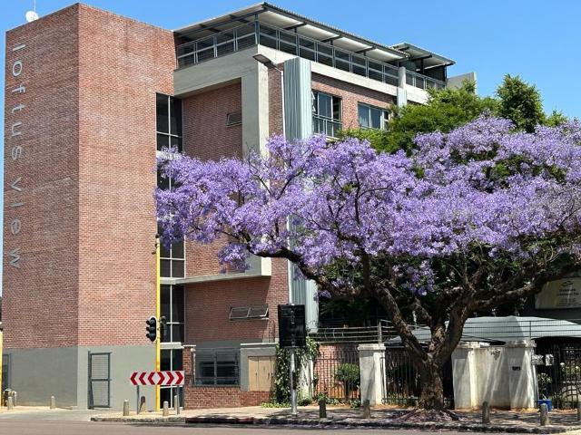 Apartment for rent in Waterkloof, Gauteng