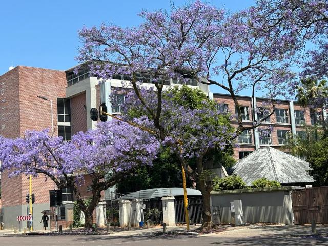 House for rent in Waterkloof, Gauteng