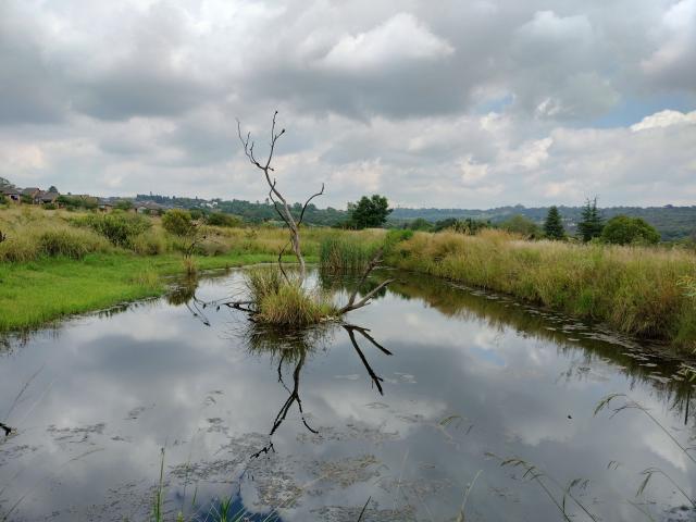 Apartment for rent in North & Sandton, Randburg