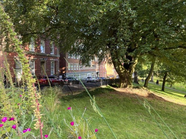 Flat for rent in Avenham, Higher Bartle