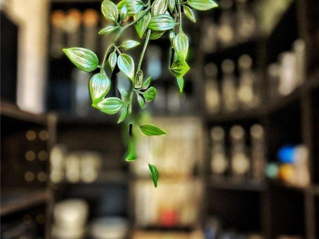 Apartment for rent in Canning / Georgian Quarter, Calderstones