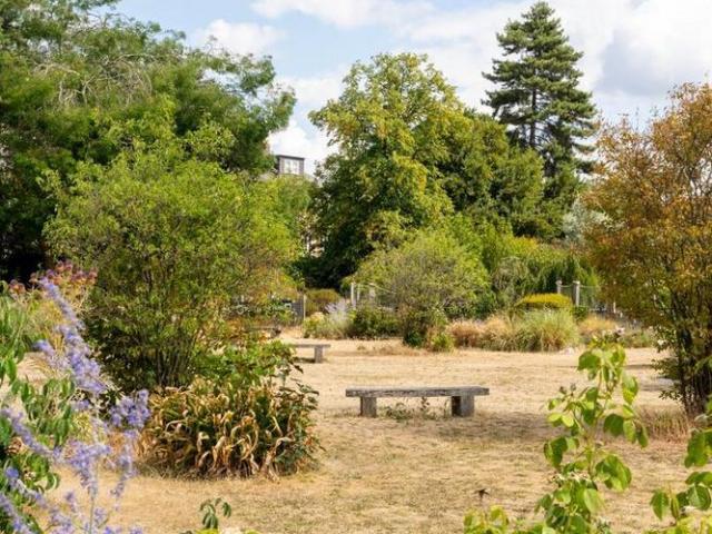 Apartment for rent in London Borough of Ealing, Greater London