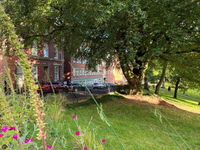 Flat for rent in Avenham, Higher Bartle