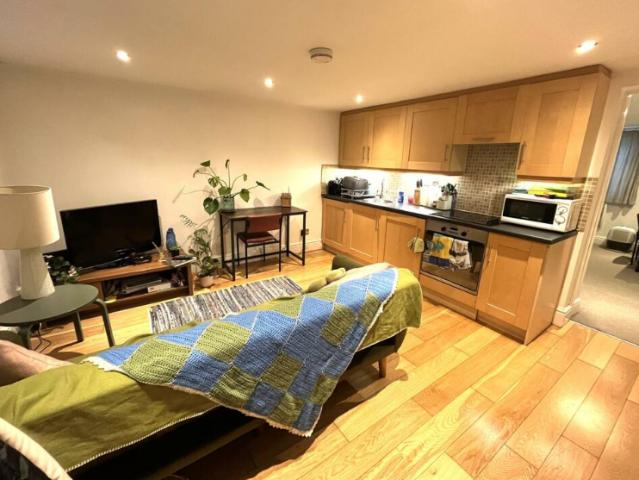 Apartment for rent in Newtown, Reading