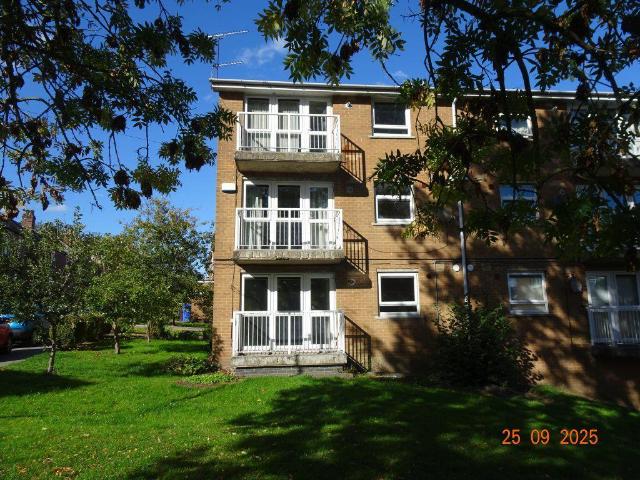 Flat for rent in Upperthorpe, Crookesmoor