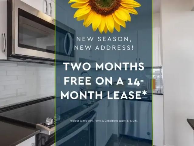 Apartment for rent in Woburn, Ontario