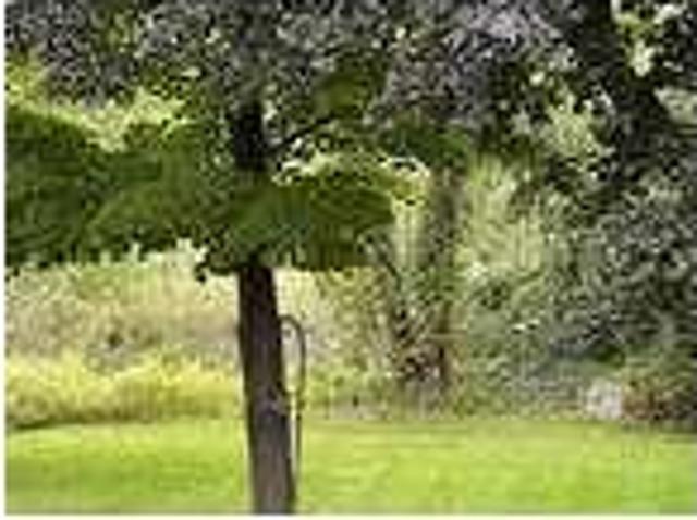 House for rent in Bristol, Massachusetts