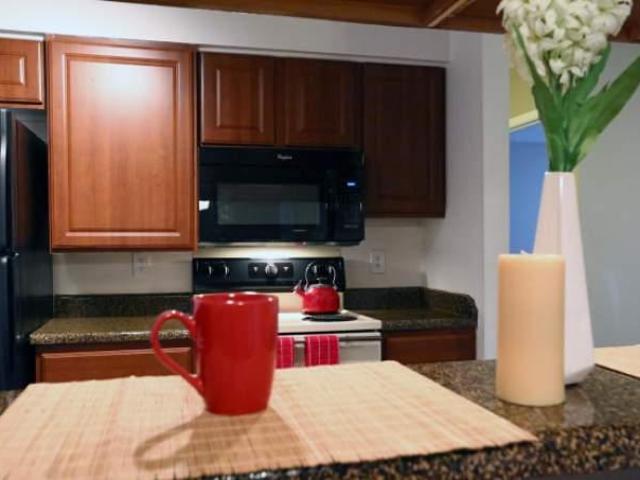 Apartment for rent in Austin, Travis County