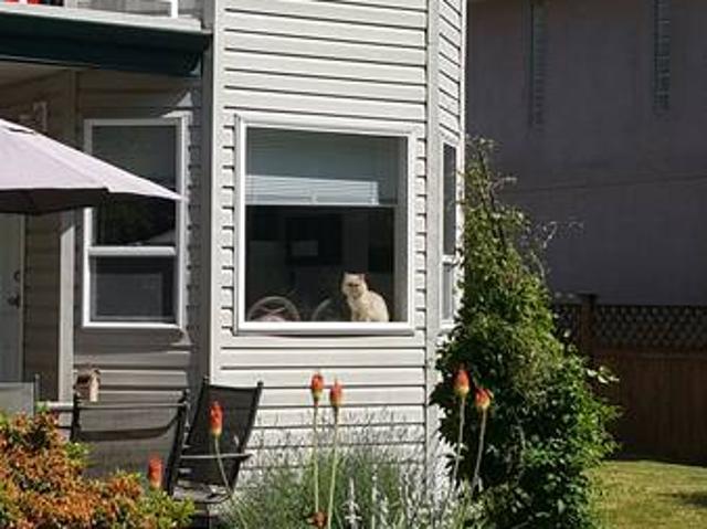 Room for rent in Vancouver