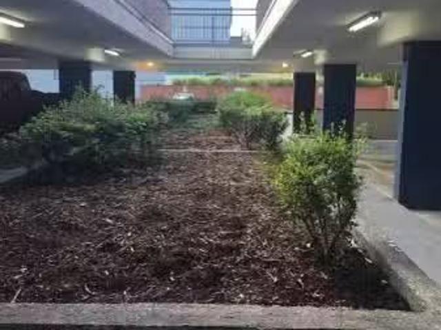 Condo for rent in Abbotsford