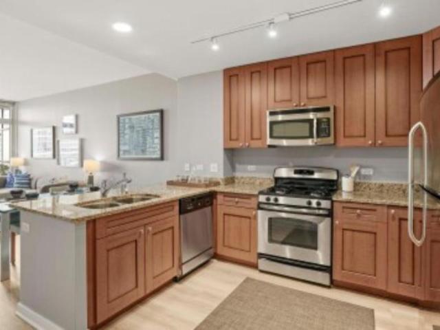 Condo for rent in Printer's Row, Chicago