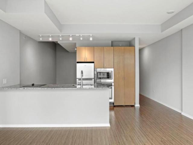 Condo for rent in Near North Side, Chicago