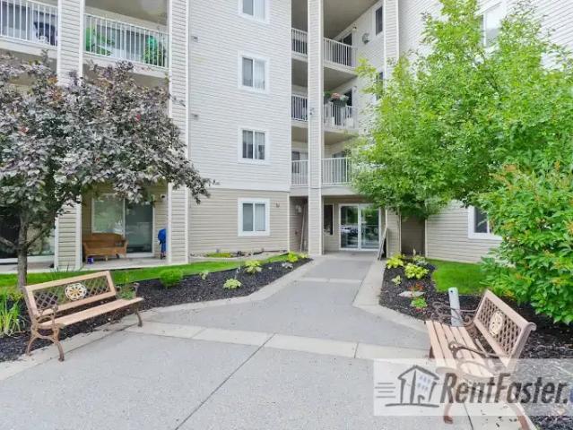 Condo for rent in Red Carpet, Calgary