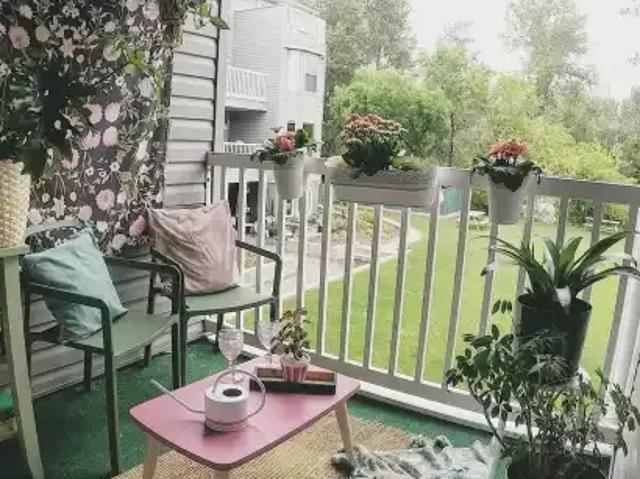 Condo for rent in Mission, Calgary