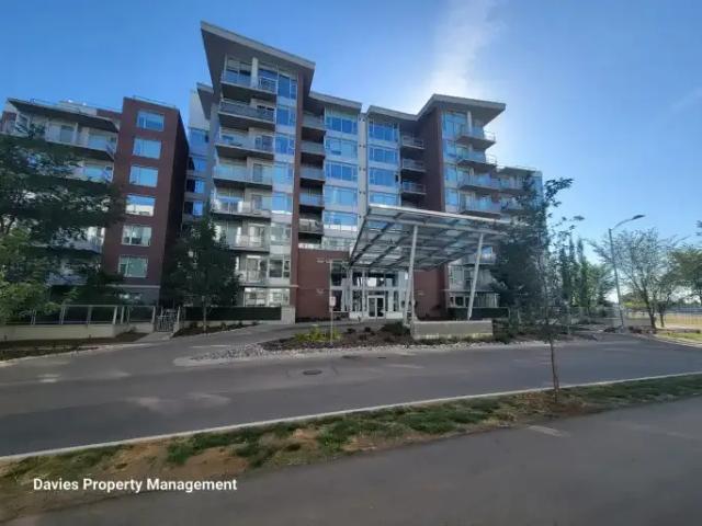 Condo for rent in Wedgewood, Alberta