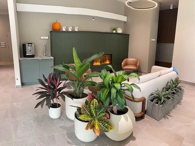 Condo for rent in Montréal, Montréal (région administrative)