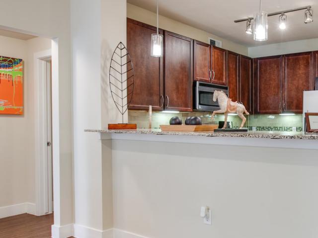 Condo for rent in Dallas, Texas