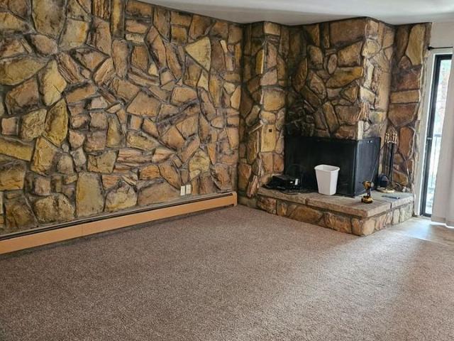 Condo for rent in Colorado