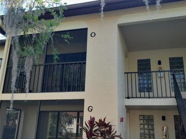 Condo for rent in Crystal Beach, Florida