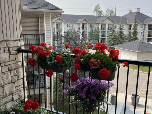 Apartment for rent in Evergreen, Calgary