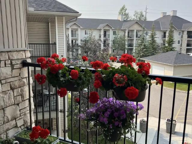Condo for rent in Evergreen, Calgary