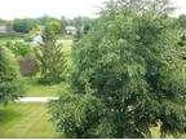 House for rent in Ann Arbor, Michigan