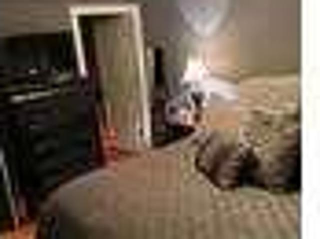 House for rent in Arlington, Massachusetts