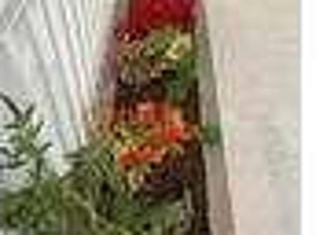 House for rent in Asbury Park