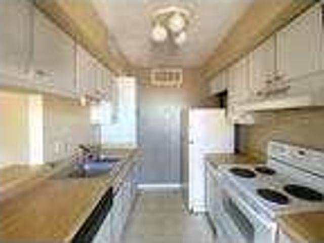 House for rent in Williams, Ohio