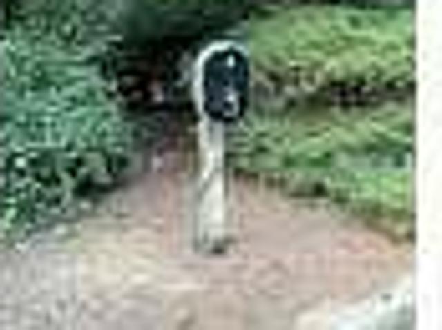 House for rent in Dunwoody, DeKalb County