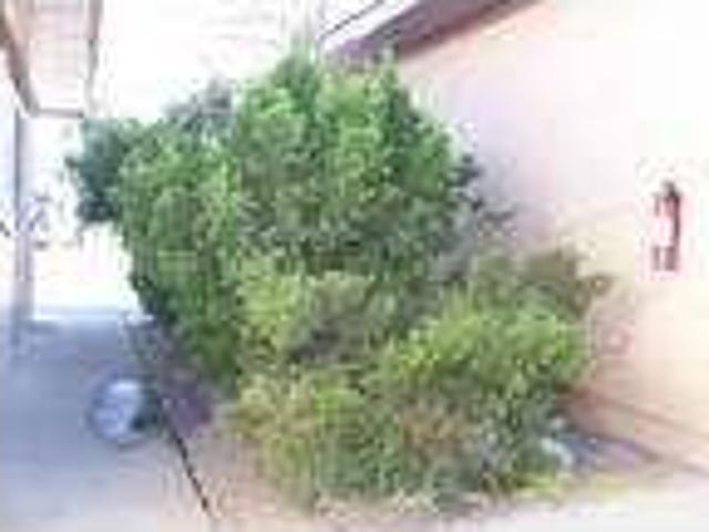 House for rent in El Paso, Woodford County