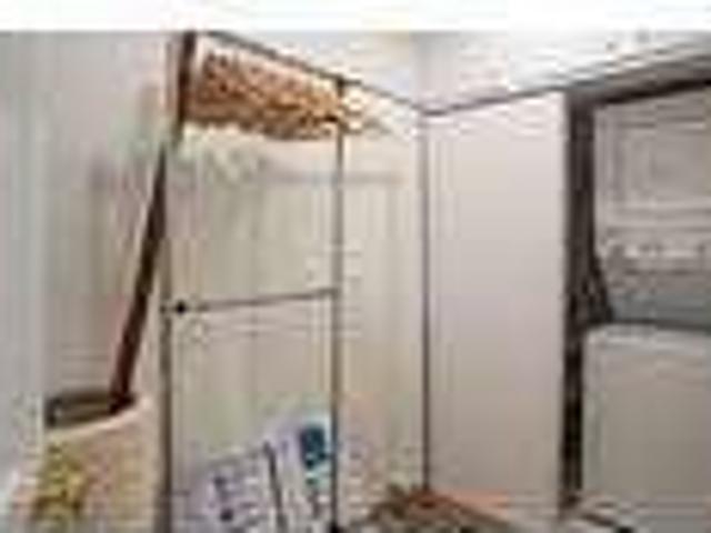 House for rent in Santa Monica, California