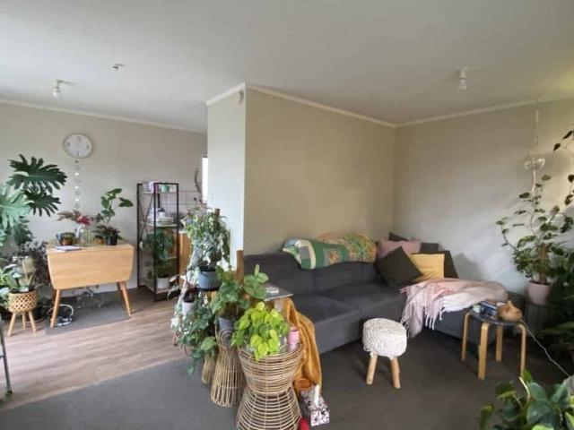 House for rent in Spring Creek, Marlborough