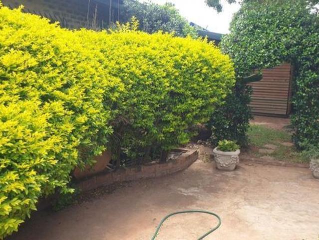 House for rent in Gauteng
