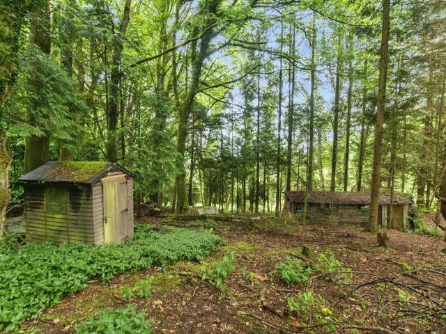 Bungalow for sale in Bridford, Devon