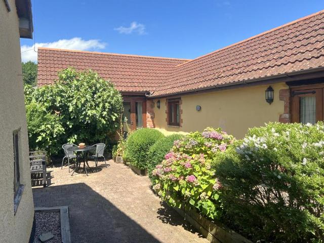 Bungalow for sale in Newton St Cyres, Devon