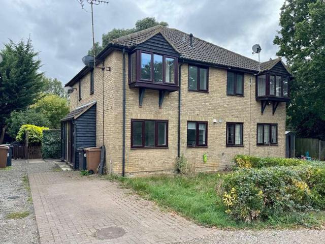 Cottage for rent in Bicknacre, Chelmsford