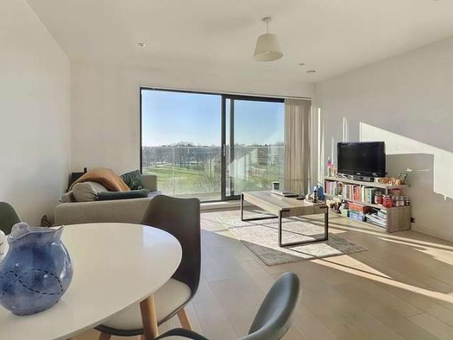 Flat for rent in South Ashford, Bridgefield