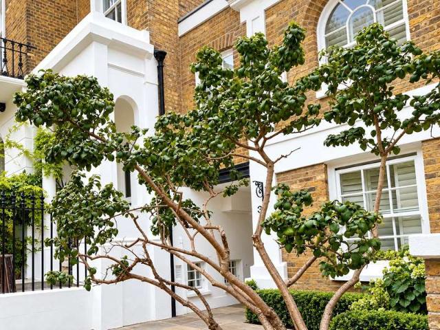 Flat for sale in Clapham Park, Greater London