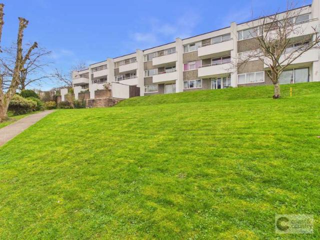 Flat for sale in Knowles Hill, Bridford
