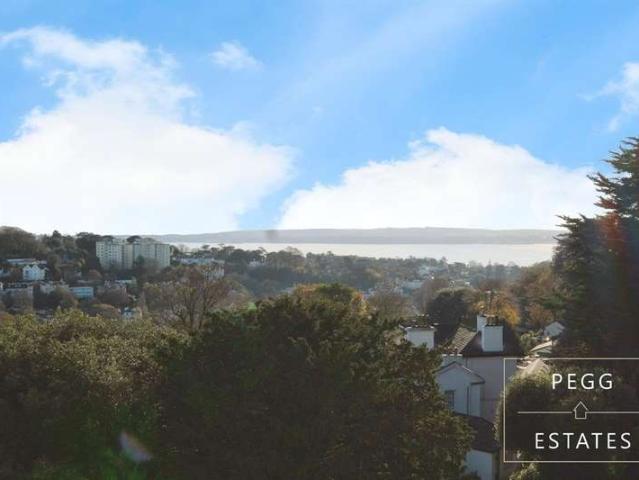 Flat for sale in Babbacombe