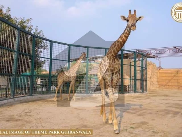 Apartment for rent in Sialkot, Islamabad Capital Territory